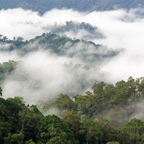 Benefits to buying a stove